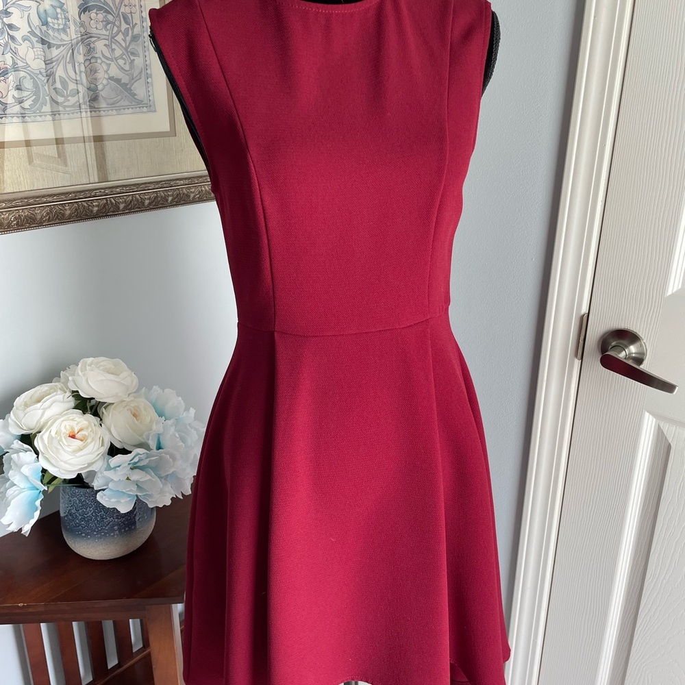 Everly Red Fit and Flare Mini Dress